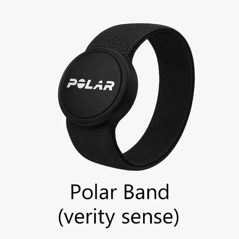 Polar Band (Verity Sense)